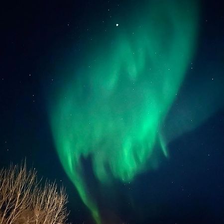 Appartment Close To The City, Ocean And Mountains -Tromsø Buitenkant foto