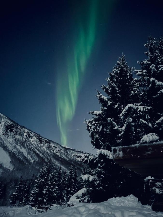 Appartment Close To The City, Ocean And Mountains -Tromsø Buitenkant foto